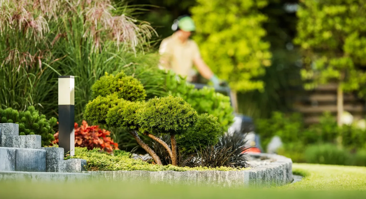 Eco-friendly residential pressure washing service protecting garden plants